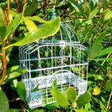 cage blanche