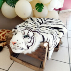 décor tigre blanc